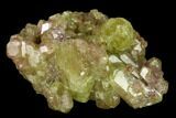 Vesuvianite Crystal Cluster - Jeffrey Mine, Canada #134421-1